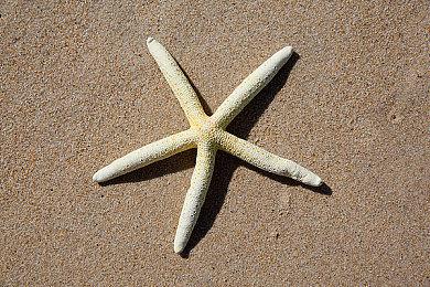 命途多舛的《黑暗之魂3》PC服务器又重新上线了